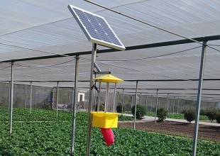 太阳能杀虫灯对温室大棚蔬菜的诱杀效果