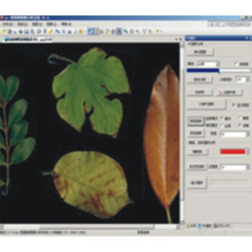 植物图像分析系统
