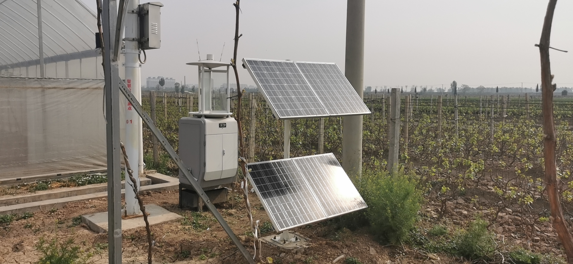 云飞智能虫情测报灯