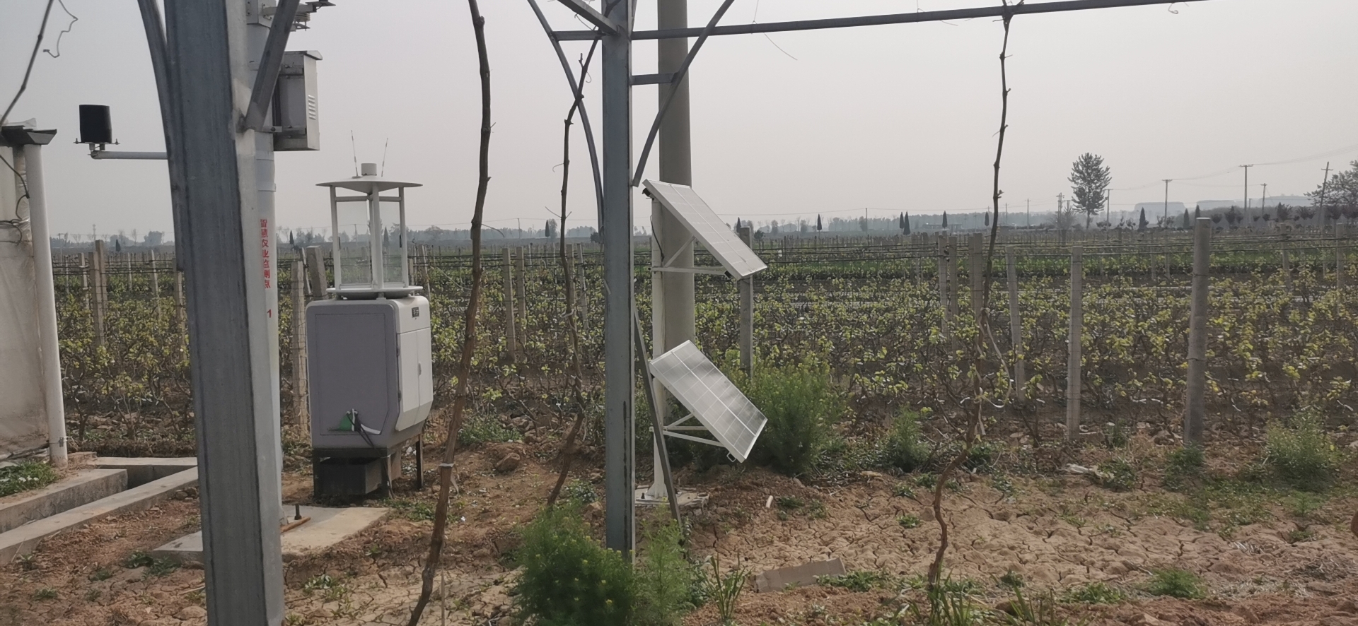 云飞智能虫情测报灯