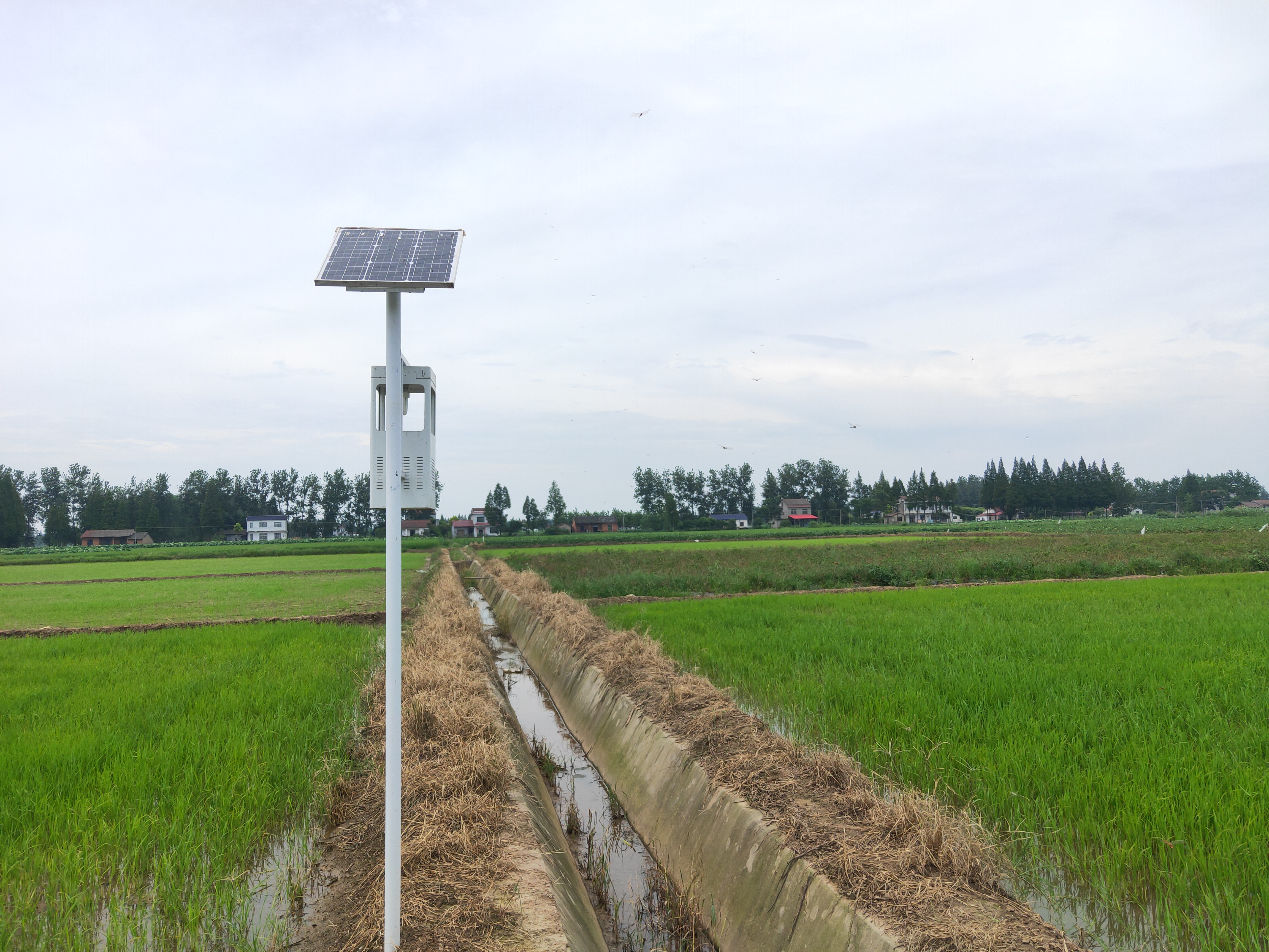 云飞风吸式太阳能杀虫灯