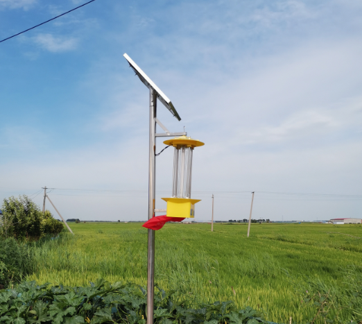 云飞太阳能频振式杀虫灯