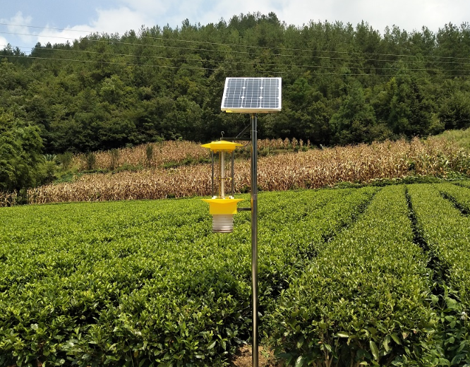 云飞自动清虫太阳能杀虫灯